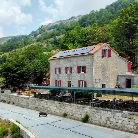 Ferme Du Col De La Vaccia Gæstehus Olivese