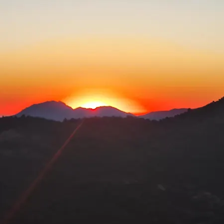 Ferme Du Col De La Vaccia Olivese