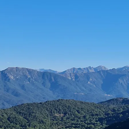 Ferme Du Col De La Vaccia Olivese