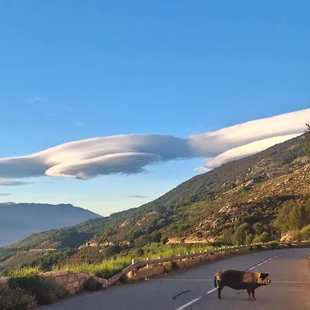Ferme Du Col De La Vaccia