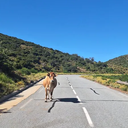 게스트하우스 Ferme Du Col De La Vaccia *