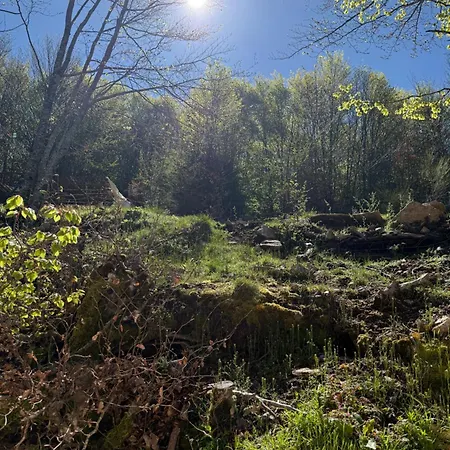 Ferme Du Col De La Vaccia