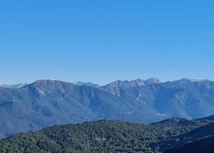 Ferme Du Col De La Vaccia Olivese
