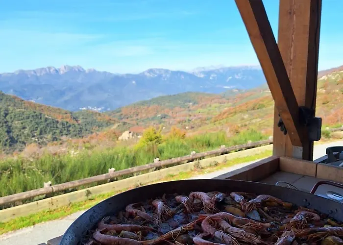 Ferme Du Col De La Vaccia * Olivese