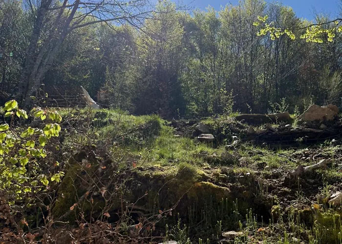 Ferme Du Col De La Vaccia